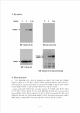 western blotting   (3 )